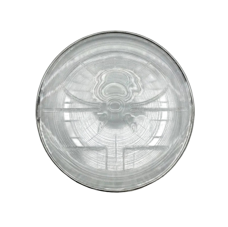 Danny Home Modern 13-Inch Glass Serving Plate – Elegant Premium Tableware for Dining & Entertaining
