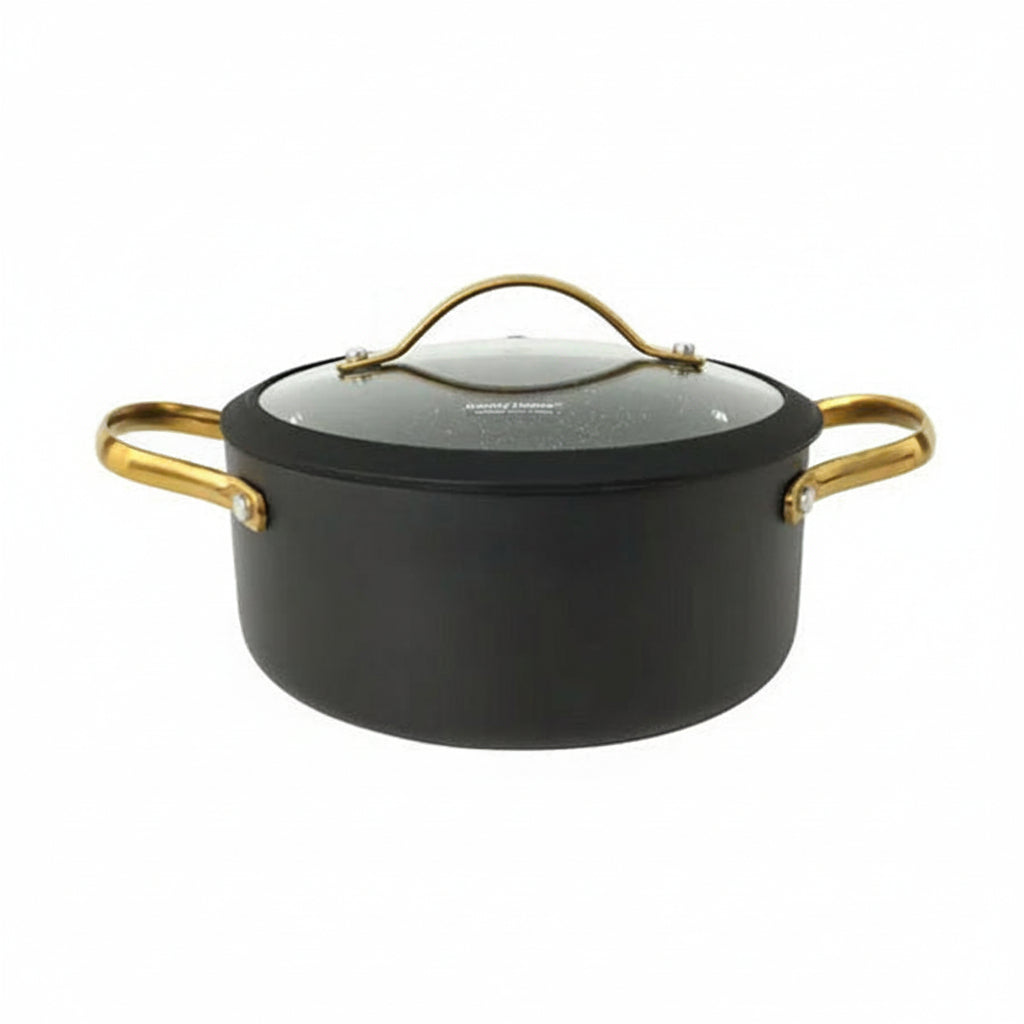 Danny Home Premium Aluminum Non-Stick Cooking Pot for Everyday Family Meals