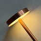 Premium Cordless LED Touch Desk Lamp