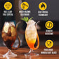 Melbify Cocktail Glass 340ML Unique Sipper for Stylish Cocktails