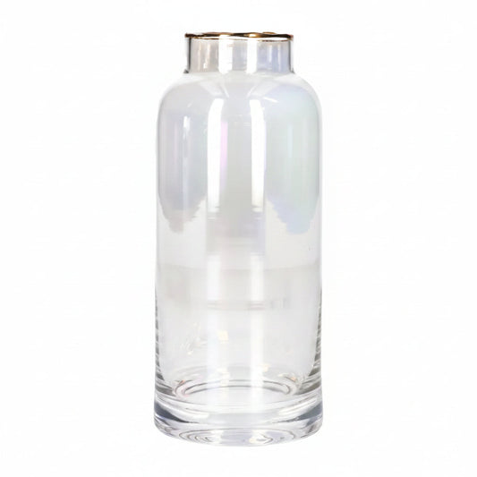 Danny Home Glass Vase 5x19x7.8cm 12c