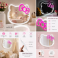 Hello Kitty LED Wall Mirror USB Powered Dimmable Vanity Makeup Mirror with Pink Neon Light